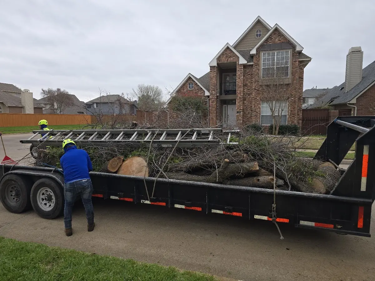 Expert Crown Reduction with proper safety equipment in Unadilla